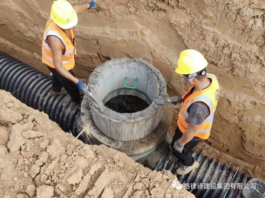 图片20.png 图片20.png